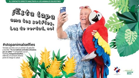 COSTA RICA LANZA CAMPAÑA STOP ANIMAL SELFIES PARA PROTEGER A LOS