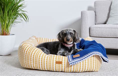 Dog Beds & Blankets | Luxury Dog Bedding | Dog Lovers Directory