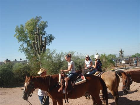 THE 10 BEST Things to Do in Apache Junction - 2024 (with Photos)