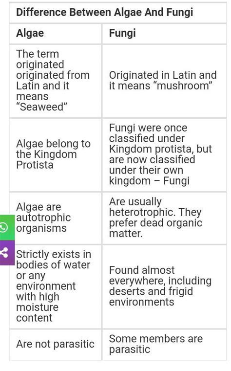 Difference Between Algae And Fungi Definition 55 Off