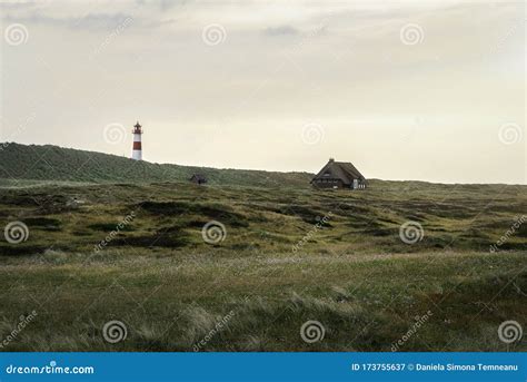 Paisaje De Dunas Verdes En La Isla De Sylt En Una Reserva Natural