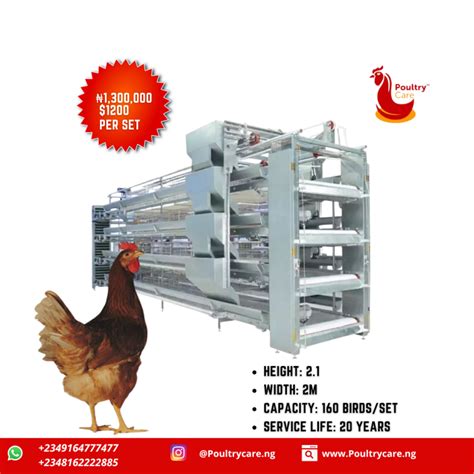 100 Automated Cage Poultrycare