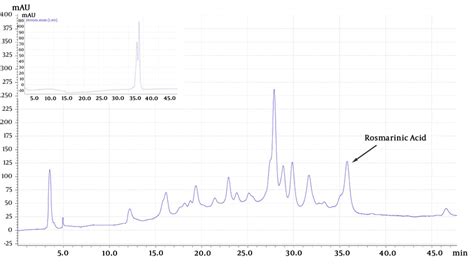 HPLC Chromatograms Of Standard Rosmarinic Acid Left Up And Echium