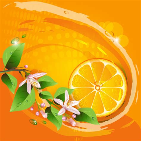 Elements Of Lemon And Flowers Vector Free Vector In Adobe Illustrator