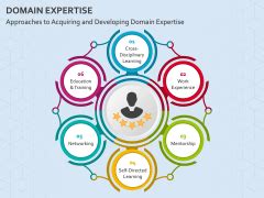 Domain Expertise PowerPoint And Google Slides Template PPT Slides