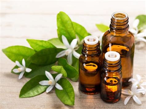 13 Wonderful Benefits Of Neroli Essential Oil Organic Facts