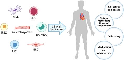 Frontiers The Current Dilemma And Breakthrough Of Stem Cell Therapy