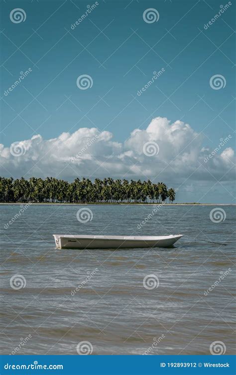 Disparo Vertical De Un Bote Blanco En Un Lago Foto De Archivo Imagen