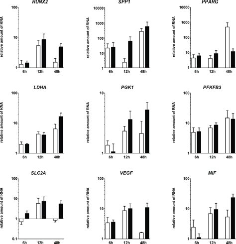 Within The FH Models Osteogenic Hypoxia Induced And Angiogenic