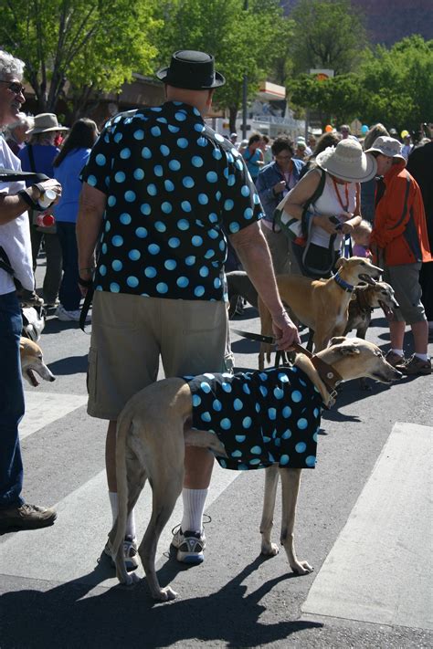 Craigslist St George Utah Pets - Petspare