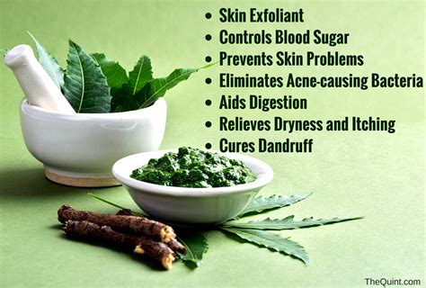 Benefits Of Neem The Wonder Leaf That Keeps Diseases At Bay