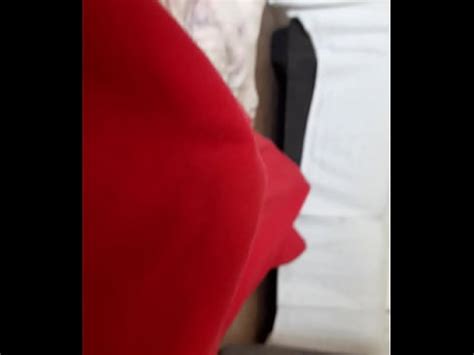 Polla Palpitante Xvideos