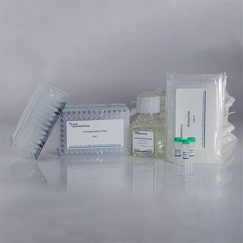 Well Synergy Plant Dna Extraction Kit