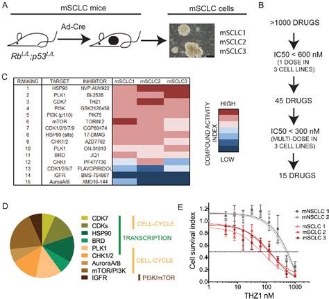 Figure 2 From Targeting Transcriptional Addictions In Small Cell Lung