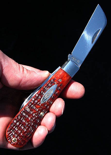 Everyday carry knives case knives – Artofit