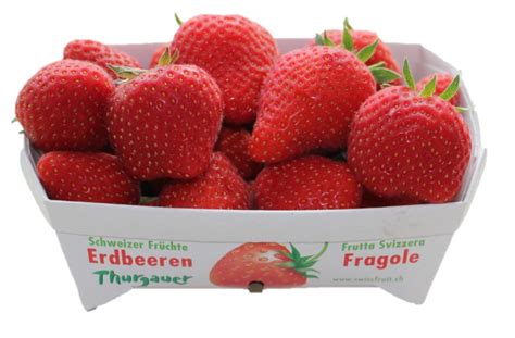 Ab sofort erhältlich Schweizer Erdbeeren Egger Gemüsebau