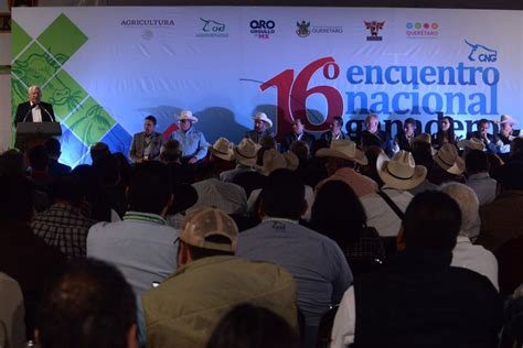 Registra La Industria Nacional De C Rnicos Aumento De Servicio