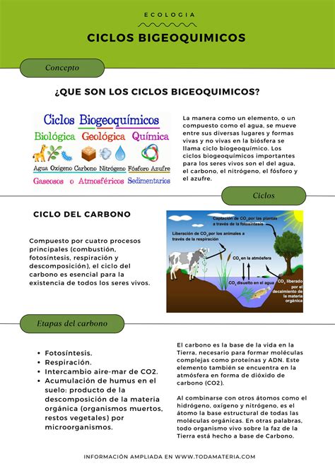 SOLUTION Ciclos Biogeoqu Micos Studypool