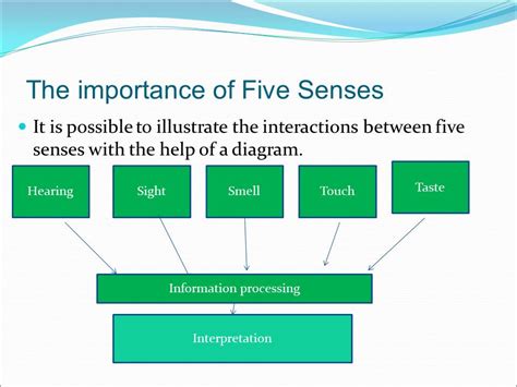 Perception And Critical Thinking The Relations Between The Cognitive