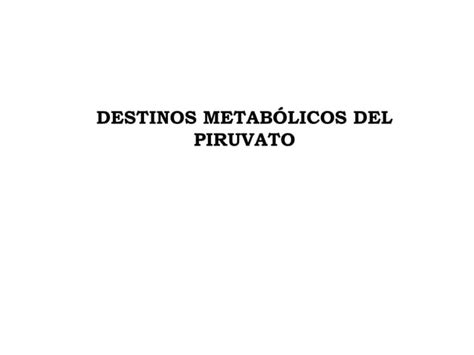 Metabolismo Del Piruvato Ppt