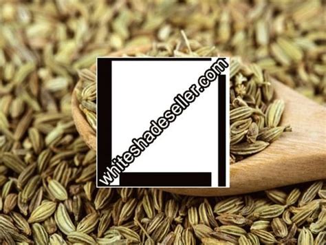 Green Fennel Seeds Saunf At Best Price In Surat White Shade Seller