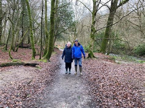 Lanhydrock And Respryn Circular Walk Bodmin 2021 All You Need To