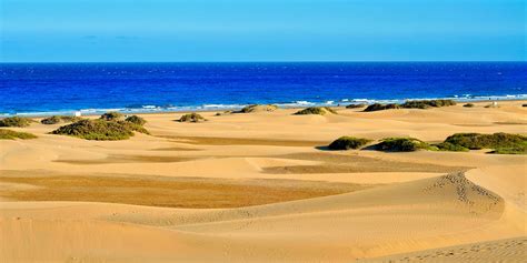 Plus Que Des Vacances à La Plage Gran Canaria Lîle De La Diversité