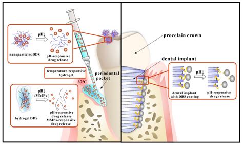 Molecules Free Full Text Emerging Applications Of Drug Delivery