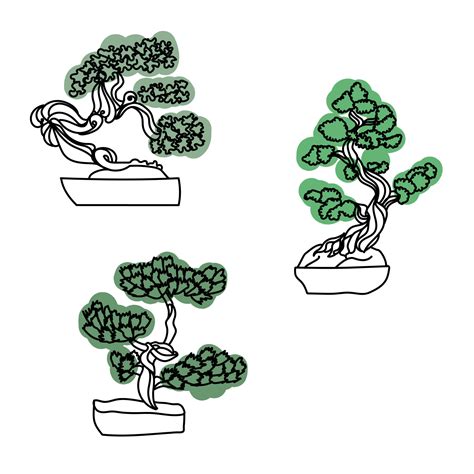 Bonsai Tree Outline