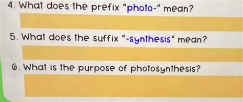 Solved 4 What Does The Prefix Photo Mean 5 What Does The Suffix