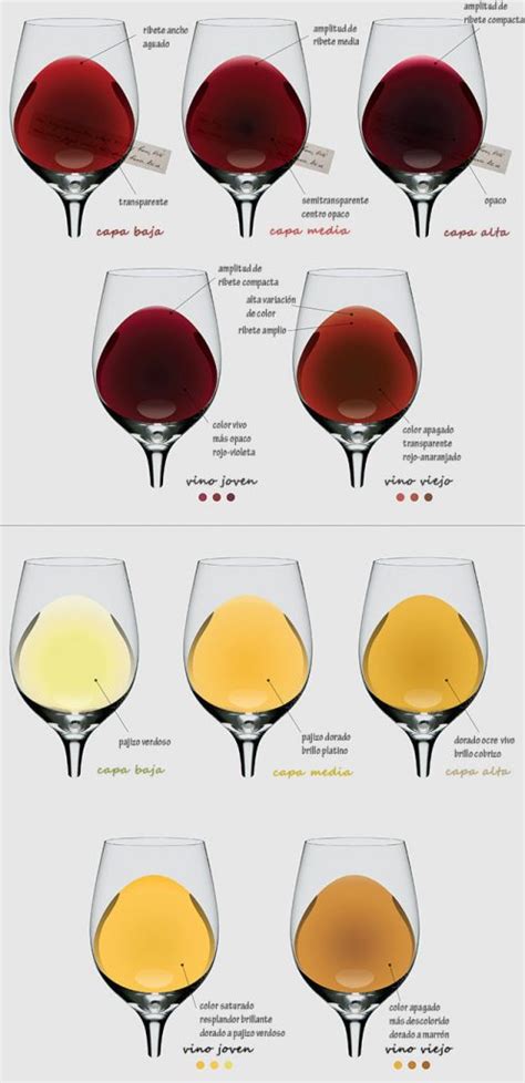 El color del vino y su evolución Vino Con Sentido