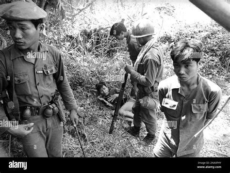 Vietnamese Soldiers Capture A Communist Viet Cong Guerrilla Hiding In