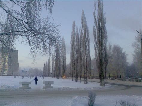 Фото Зимние тополя. в городе Туймазы