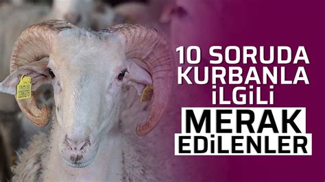 10 soruda kurbanla ilgili merak edilenler Aydın Ses Gazetesi En