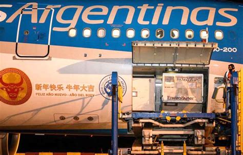 Aerolíneas Argentinas podría comenzar a volar a China