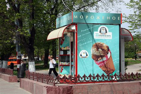 Франшиза "33 Пингвина": описание, цена, условия и отзывы