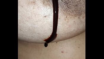 Choclate Boobs XVIDEOS