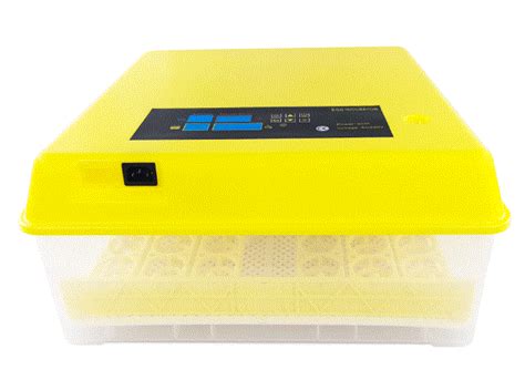 Wiltec 52168 Incubator For Reptile Eggs User Manual