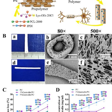 Synthesis And Characteristics Of Gastrodin Pu Ngcs A Illustration Of