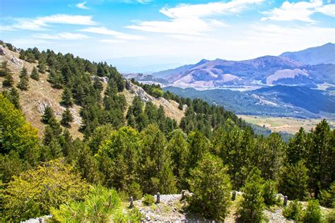 Parco Nazionale Del Pollino Fauna Flora Come Arrivare E Dove Dormire