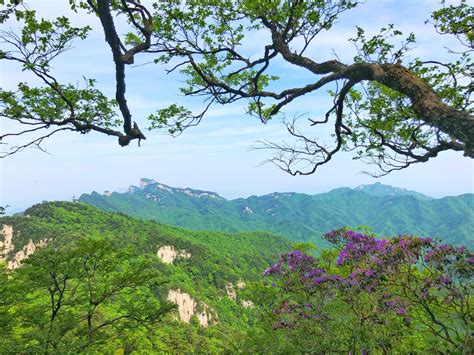 洛阳白云山的风景完全超乎我的想象。层峦叠嶂，群峰竞秀 洛阳白云山 群峰 金殿 新浪新闻