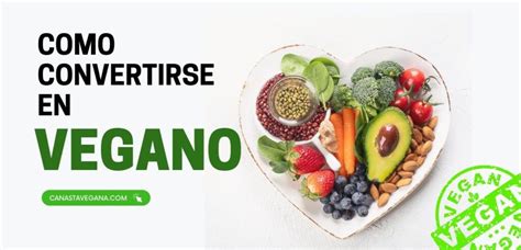 Cómo Convertirse En Vegano La Guía Definitiva Para Una Vida Basada En Plantas Canasta Vegana