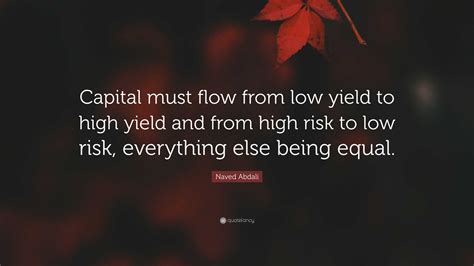 Naved Abdali Quote: “Capital must flow from low yield to high yield and from high risk to low ...