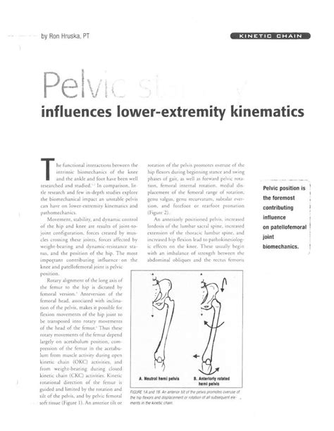 Pdf Hruska R Pelvic Stability Influences Lower Extremity Kinematics