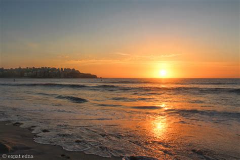 Anatomy of a Bondi Beach sunrise - Expat Edna