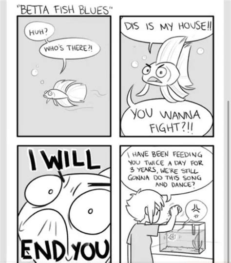 Betta fish comics! This is so true! | Haustiere, Betta, Aquarien