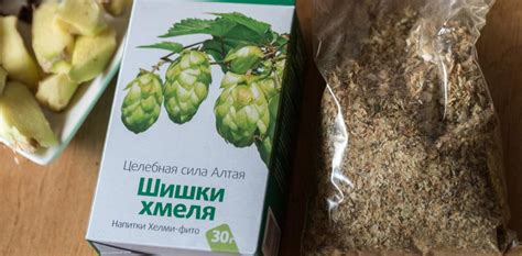 Экстракт хмеля: полезные свойства, инструкция к применению, показания и ...