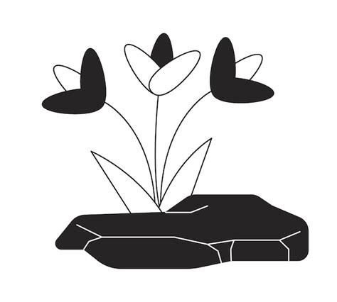 Premium Vector | Flowers growing out rock black and white 2D line ...