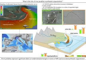 Hotspots Of Microplastic Accumulation At The Land Sea Transition And