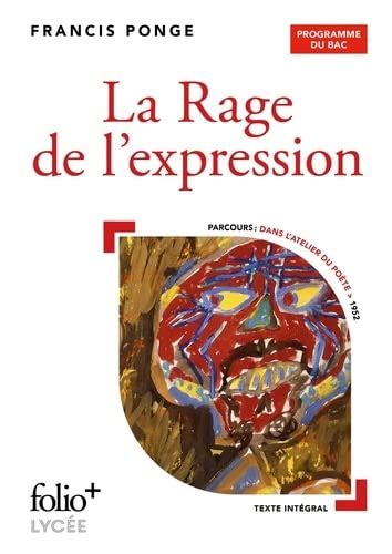 Amazon La Rage De L Expression Bac Ponge